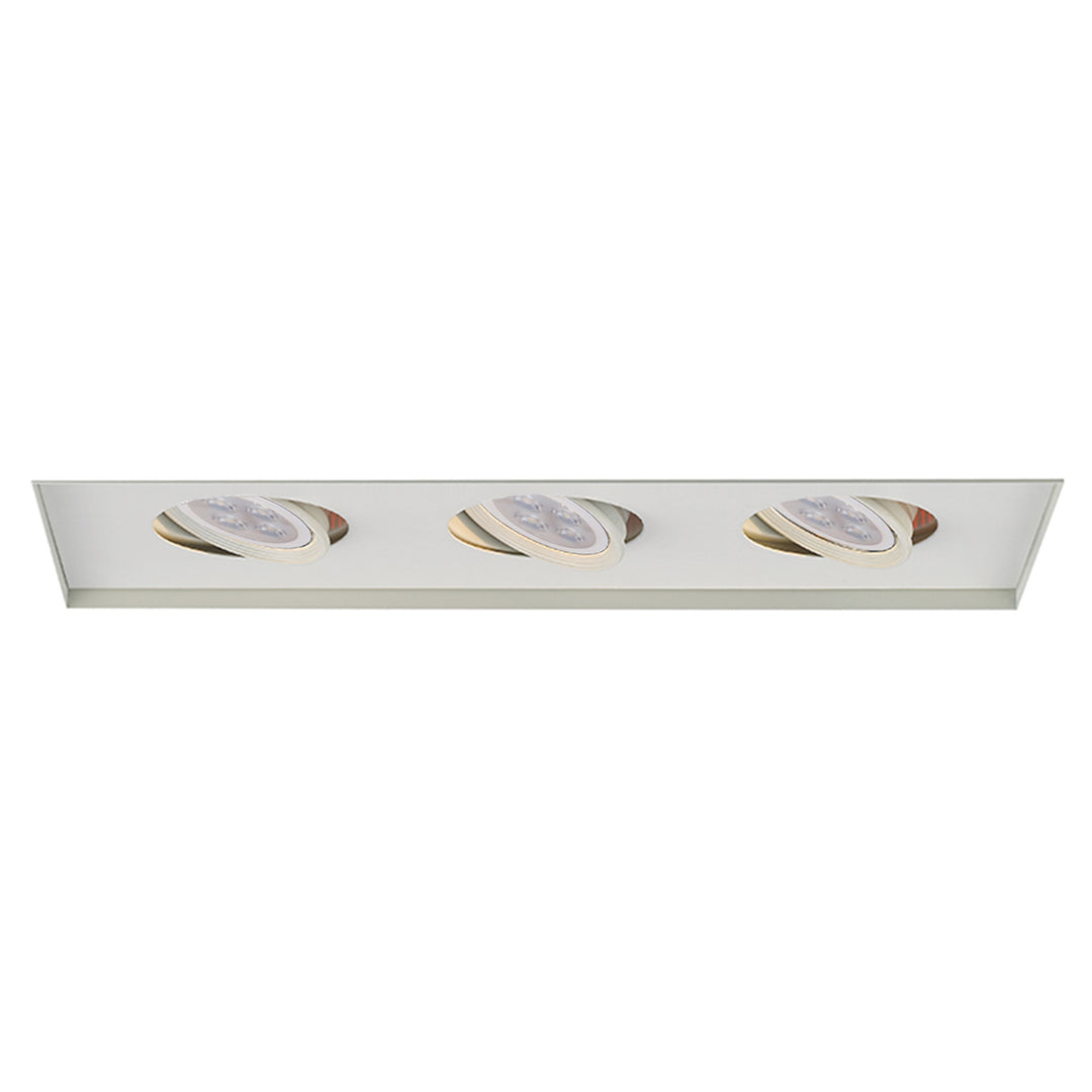 Wac Lighting MT-316LEDTL-WT  Mr16 Mult Recessed Light White