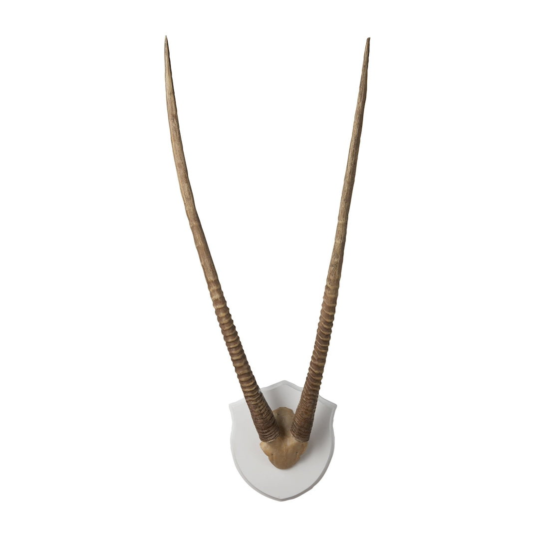 Elk Lighting 225026  Gazelle Horns Mirror Brown