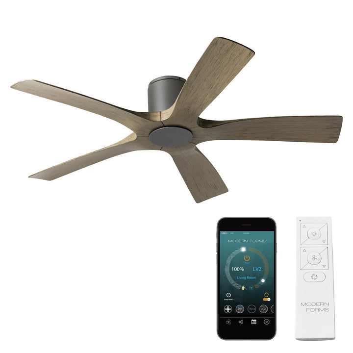 Modern Forms Fan Aviator 5 FH-W1811-5-GH/WG Ceiling Fan 54 - Graphite/Weathered Gray, Weathered Gray/