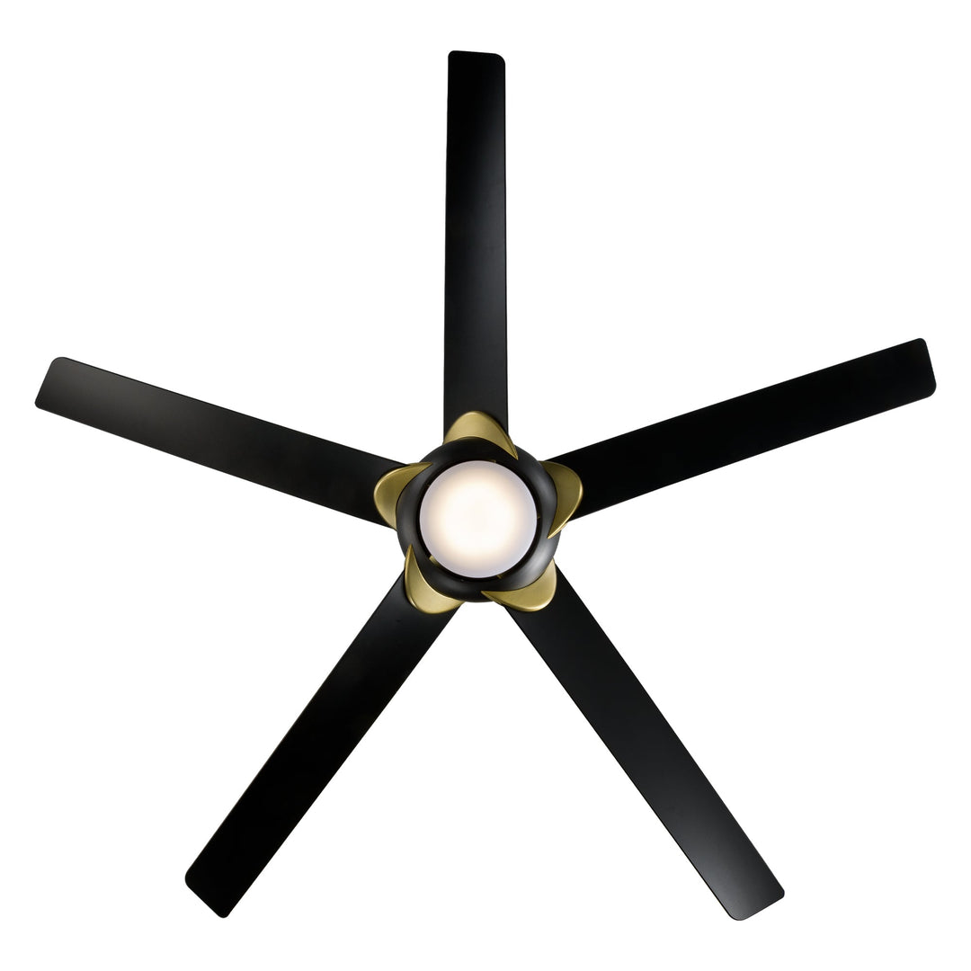 Modern Forms Fan Lucid FR-W2304-62L-SB/MB Ceiling Fan 62 - Soft Brass Arms/Matte Black, Matte Black/