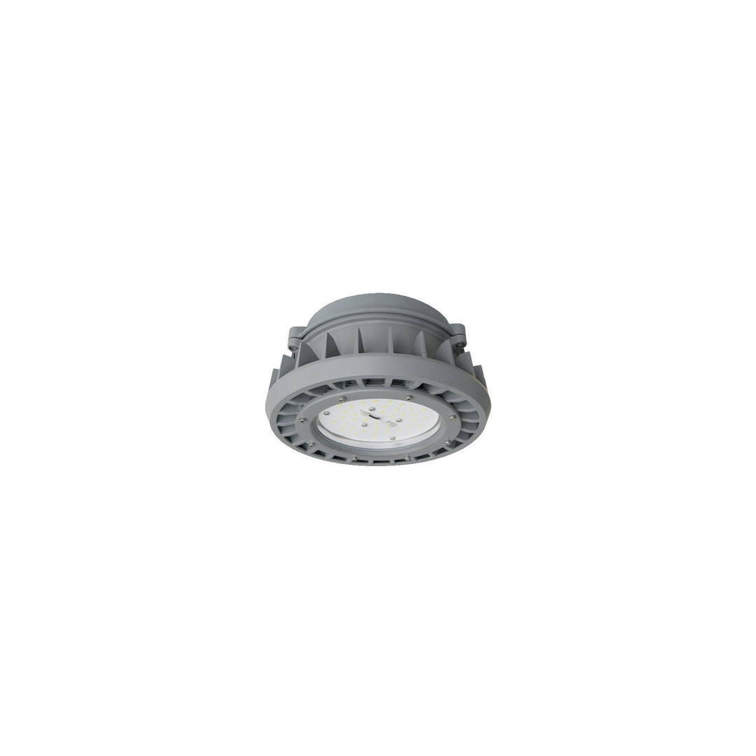 Maxlite Lighting 103299  Hlr Series, Small Size , 45W/ 120-277V/ 5000K,  Clear Lens , Pendant, Gray, Cid2, Ciid1, Ciid2, Ciii Hazardous Location Led Light