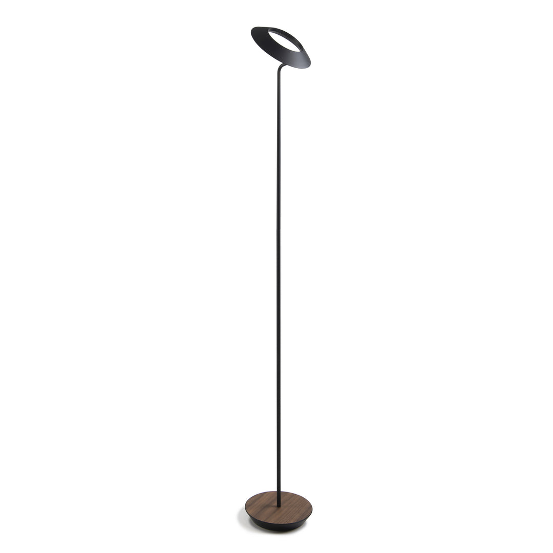 Koncept Lighting RYO-SW-MTB-OWT-FLR Modern Royyo Lamp Matte Black, Oiled Walnut Base Plate