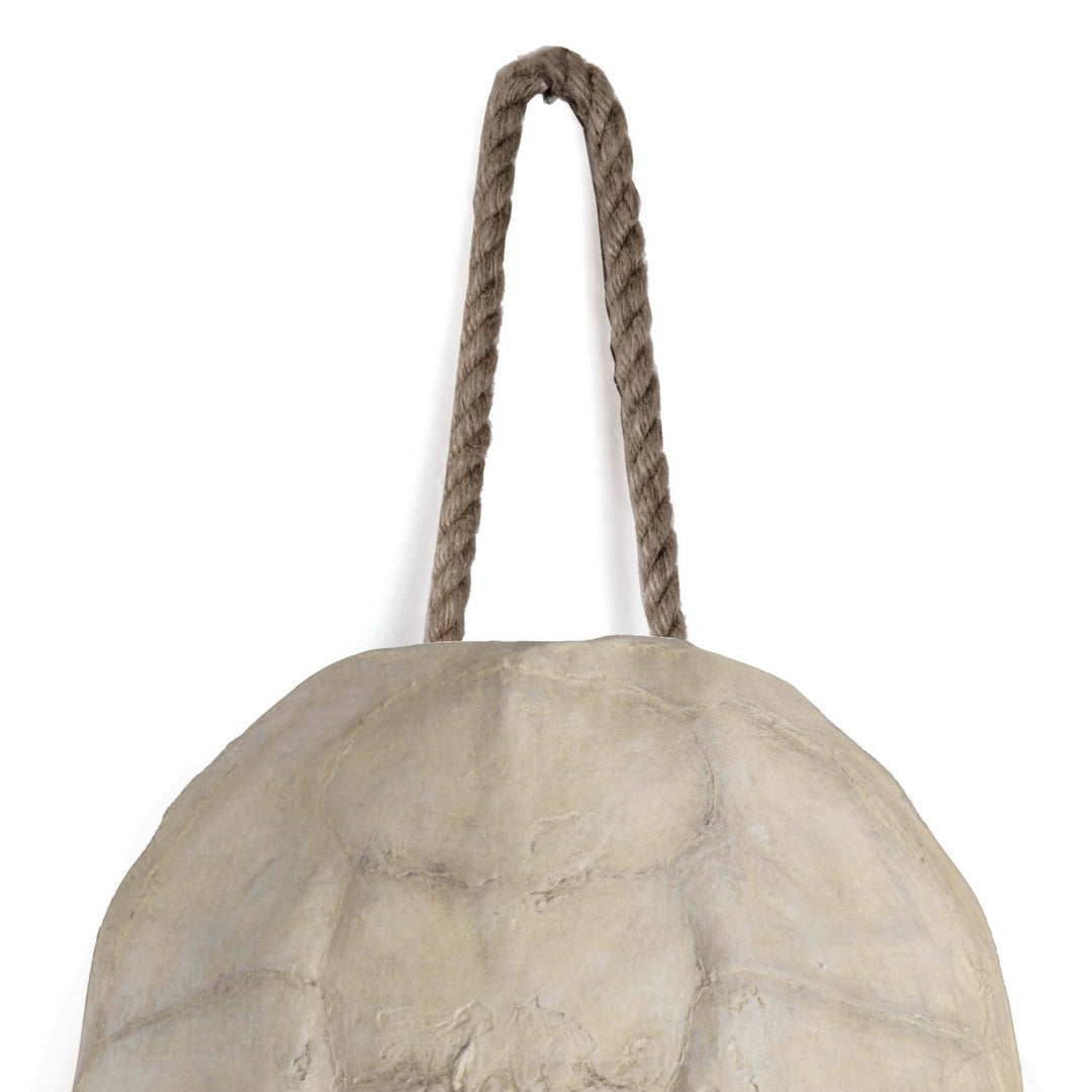 Regina Andrew 21-1044IV  Turtle Home Decor Bleached