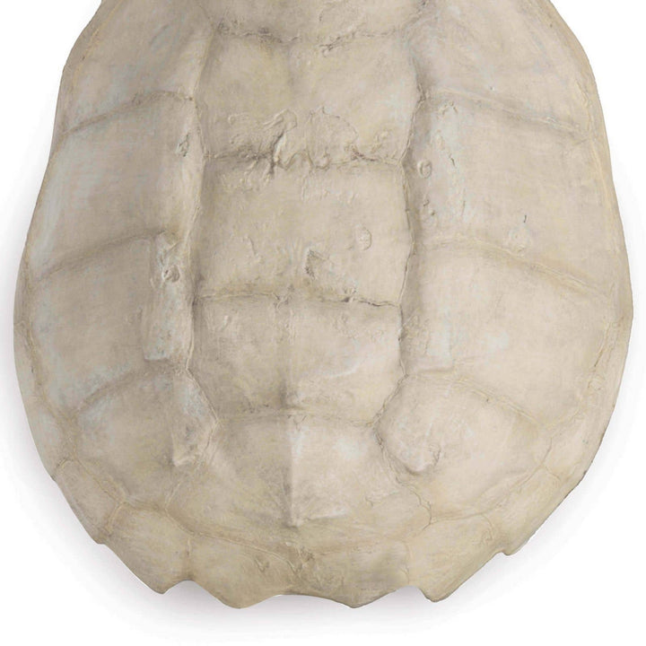 Regina Andrew 21-1044IV  Turtle Home Decor Bleached