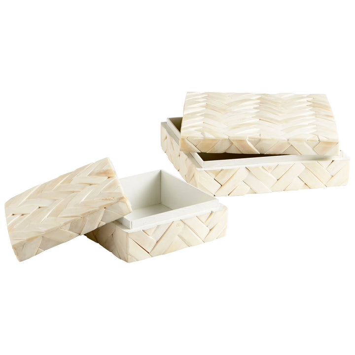 Cyan 10234 Containers & Trays - White