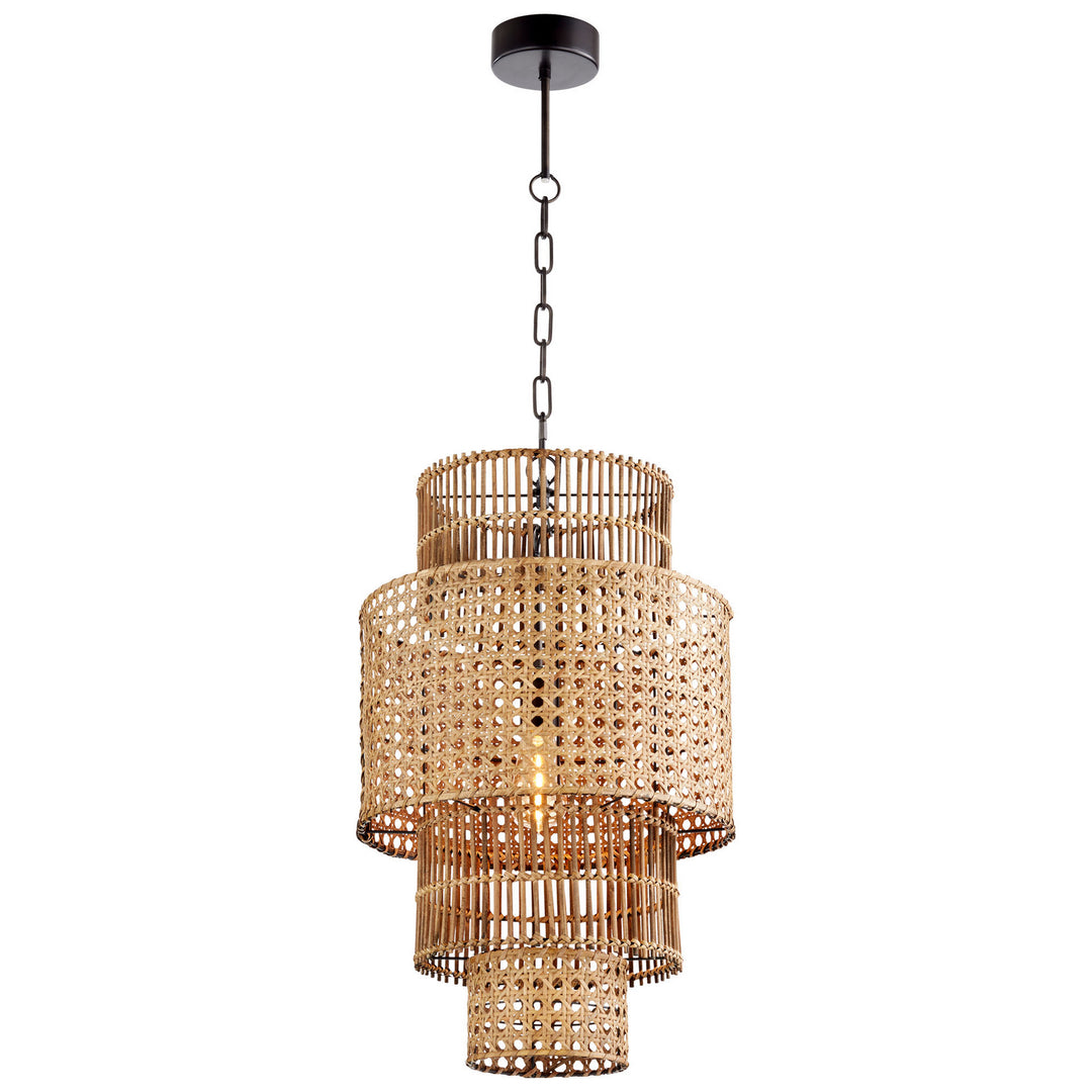 Cyan Design  10272 Pendant Light - Rattan