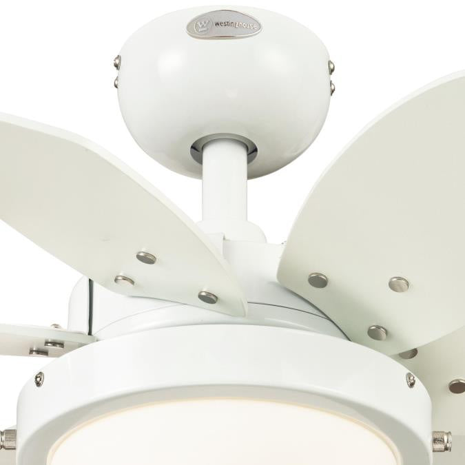 Westinghouse Quince 7224700 Ceiling Fan - White, White / Beech/