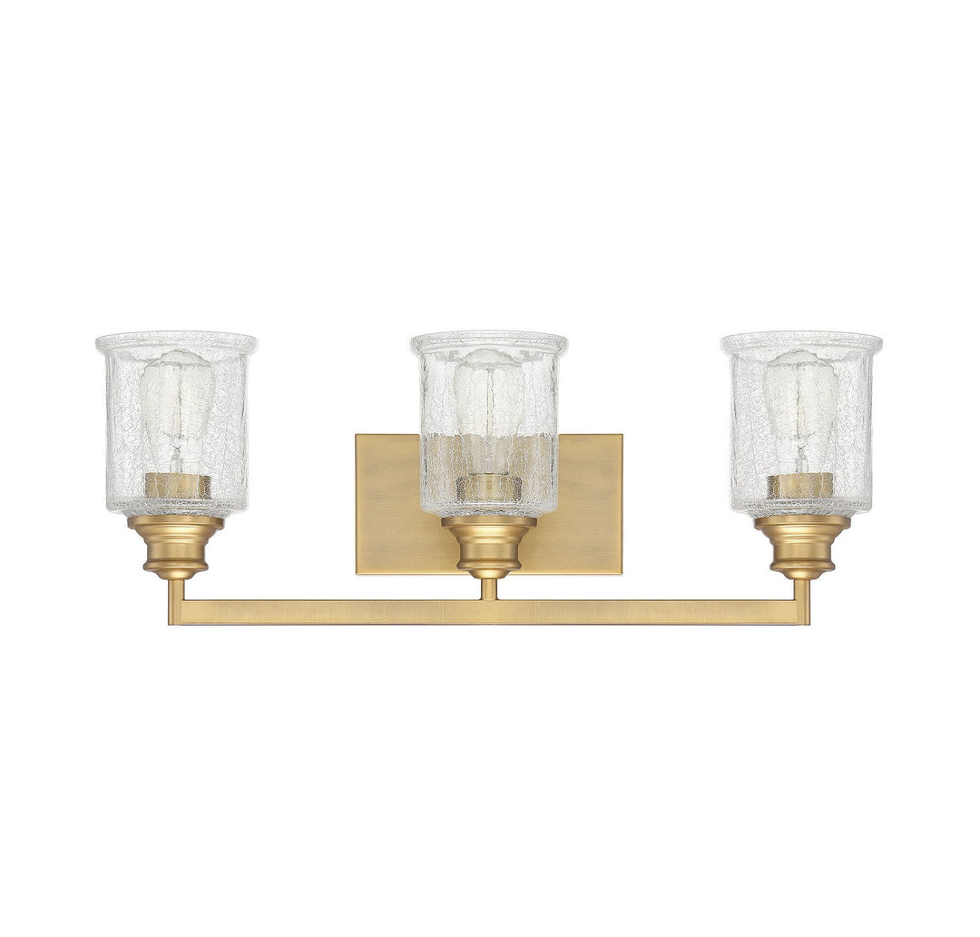 Savoy House Hampton 8-1972-3-322 Bath Vanity Light 24 in. wide - Warm Brass
