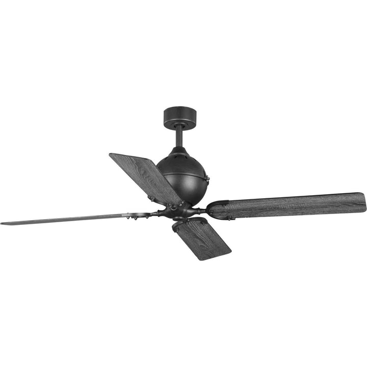 Progress Royer P250010-080 Ceiling Fan - Forged Black, Distressed Ebony, Matte Black/