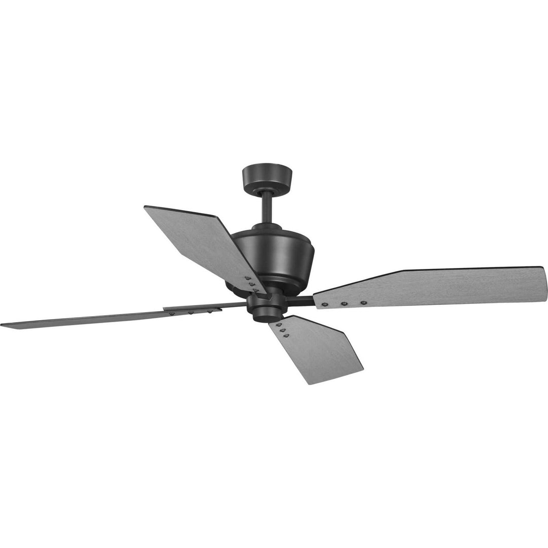 Progress Chapin P250022-143 Ceiling Fan - Graphite, Grey Weathered Wood/