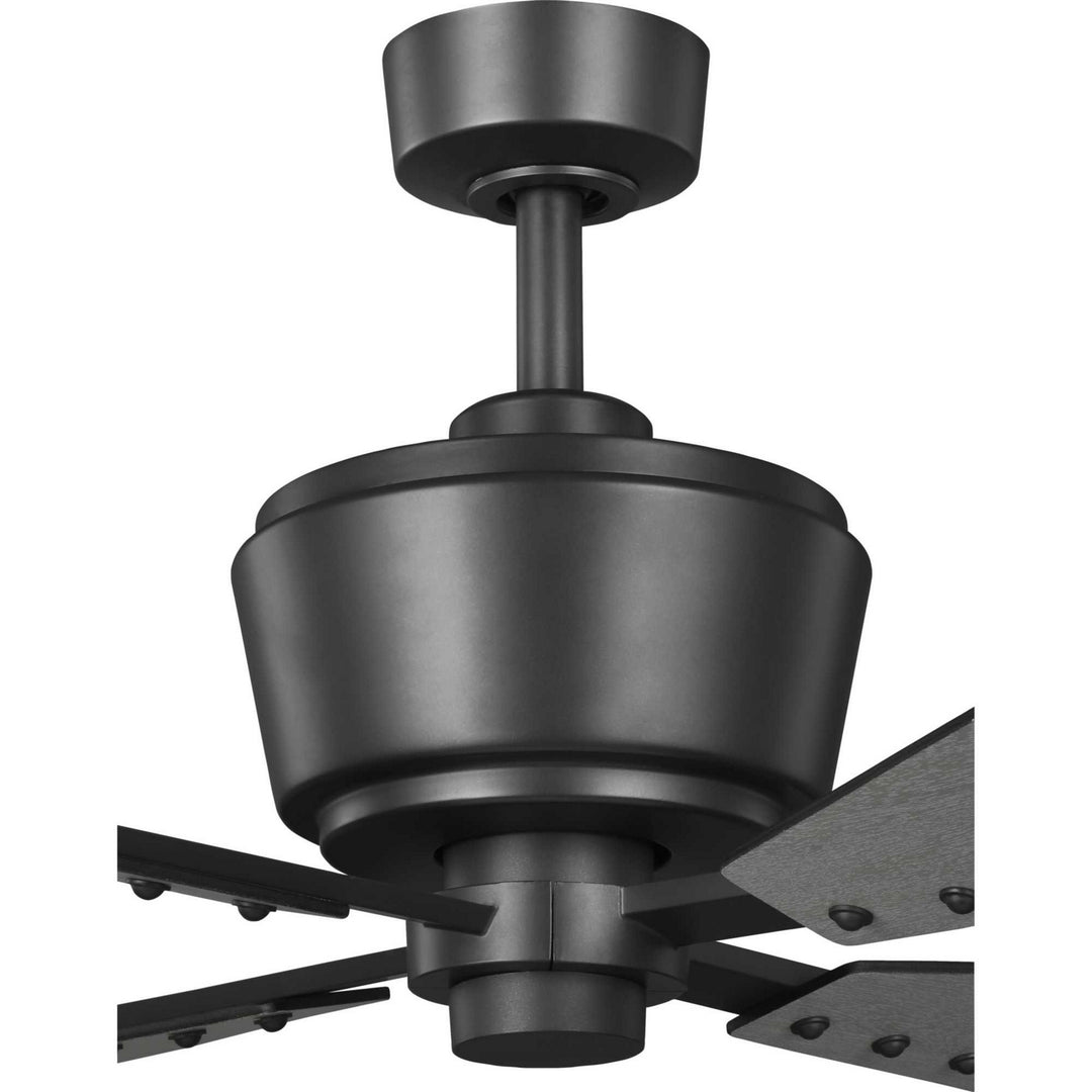 Progress Chapin P250022-143 Ceiling Fan - Graphite, Grey Weathered Wood/