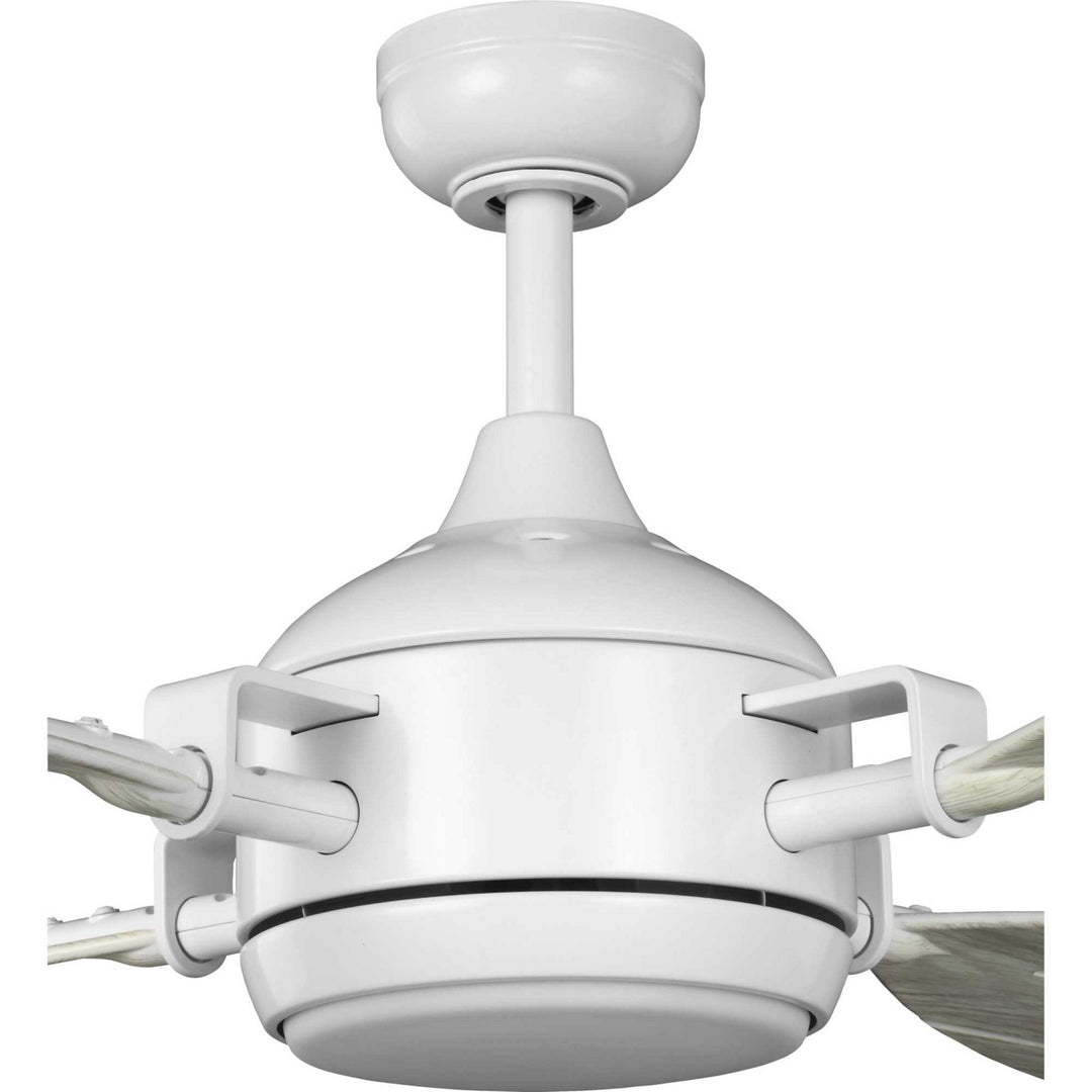 Progress Rudder P250040-028-30 Ceiling Fan - Satin White, Distressed White/