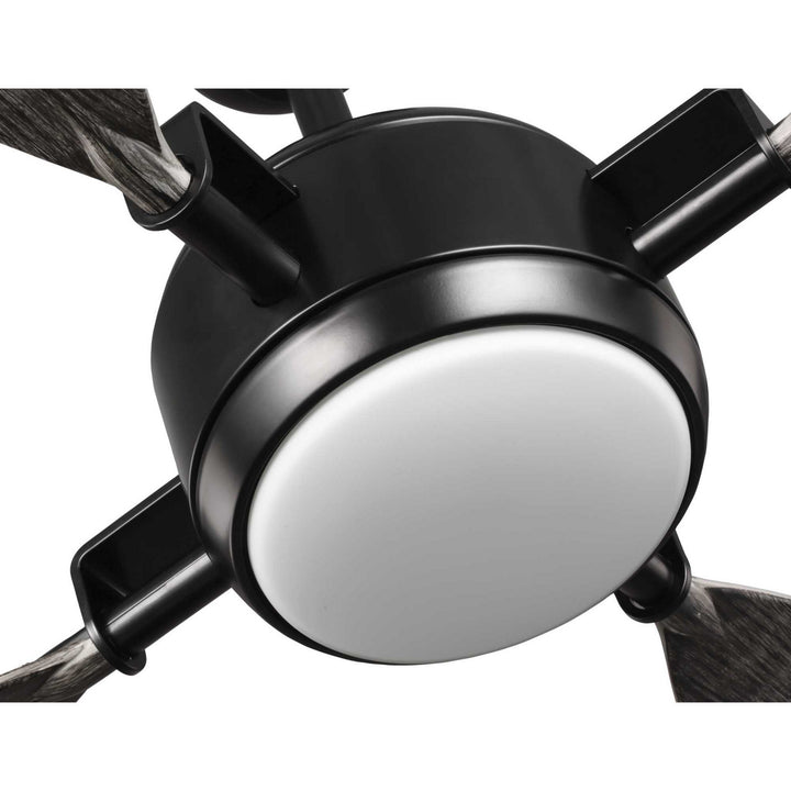 Progress Rudder P250040-031-30 Ceiling Fan - Black, Distressed Ebony/