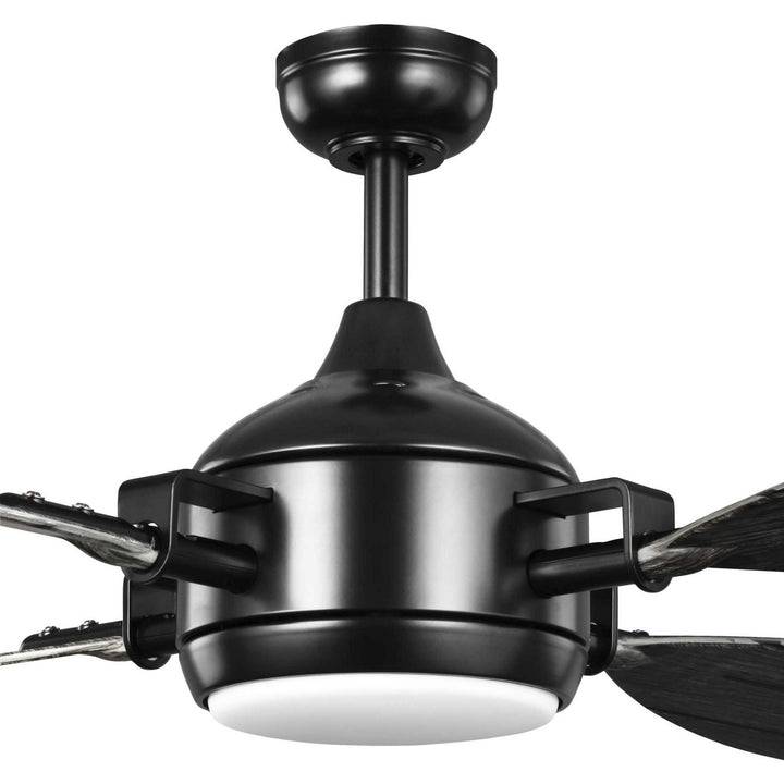 Progress Rudder P250040-031-30 Ceiling Fan - Black, Distressed Ebony/