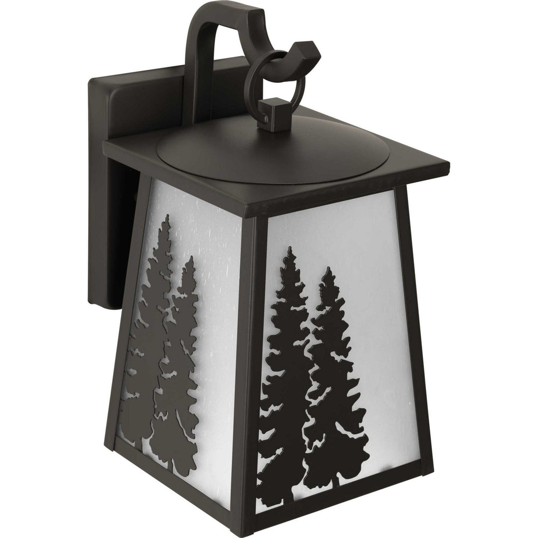 Progress Lighting P560161-020 Torrey One Light Wall Lantern Outdoor Bronze / Dark