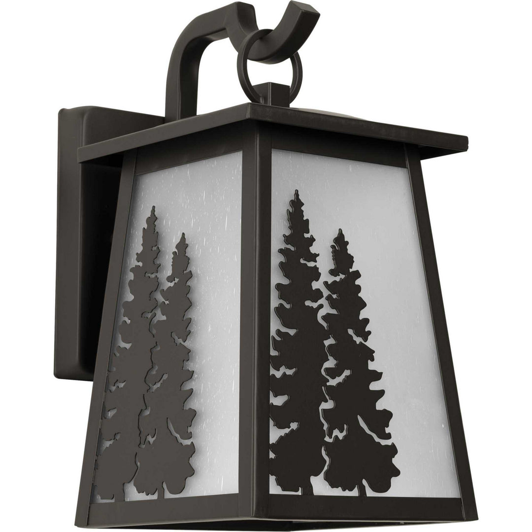 Progress Lighting P560161-020 Torrey One Light Wall Lantern Outdoor Bronze / Dark