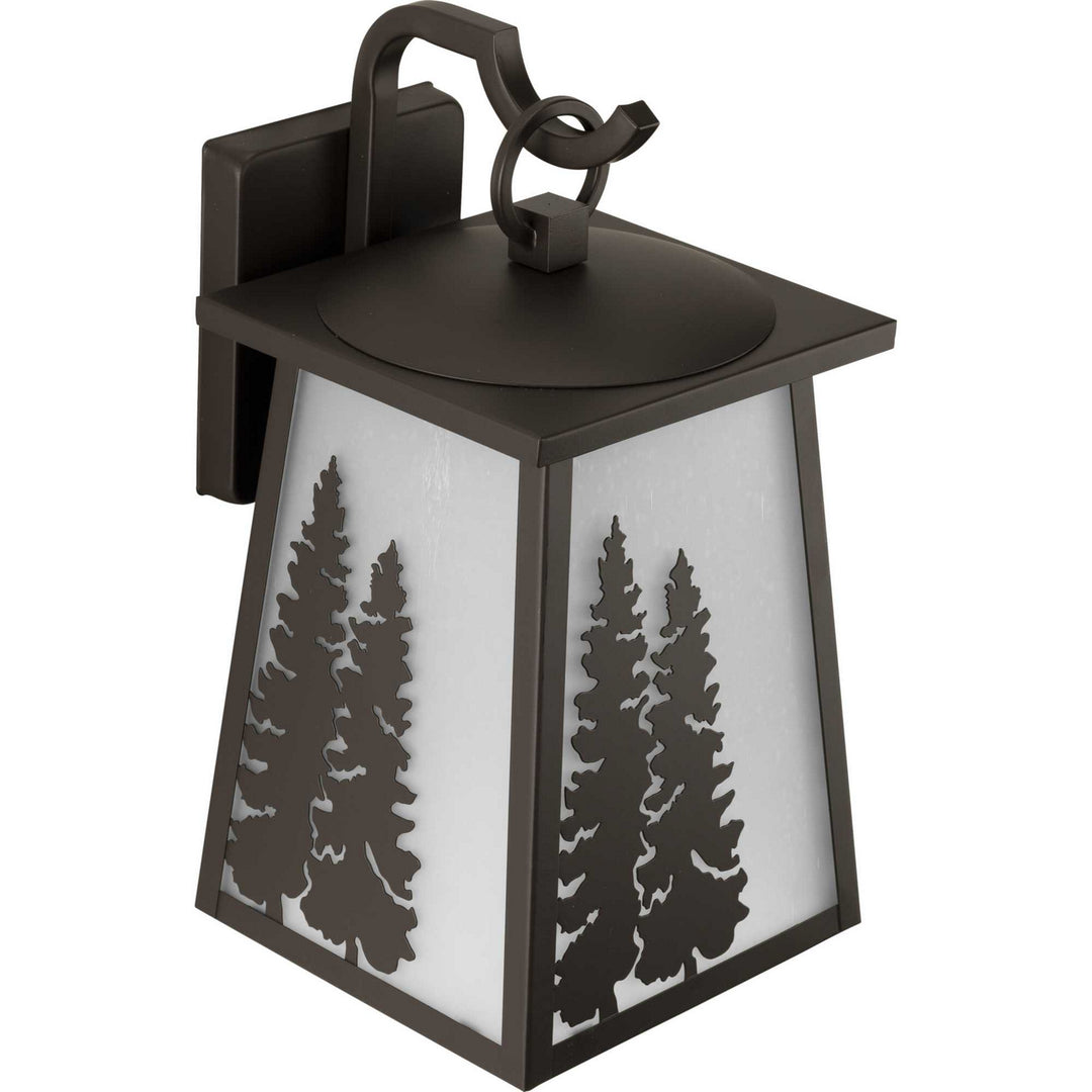 Progress Lighting P560162-020 Torrey One Light Wall Lantern Outdoor Bronze / Dark