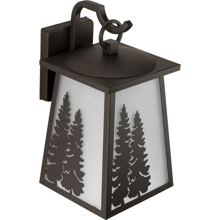 Progress Lighting P560162-020 Torrey One Light Wall Lantern Outdoor Bronze / Dark