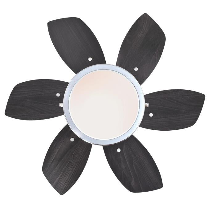 Westinghouse Quince 7236600 Ceiling Fan - Chrome, Wengue / Beech/