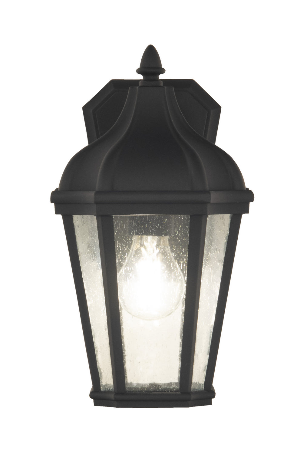 Craftmade Lighting ZA3004-TB  Briarwick Outdoor Textured Black