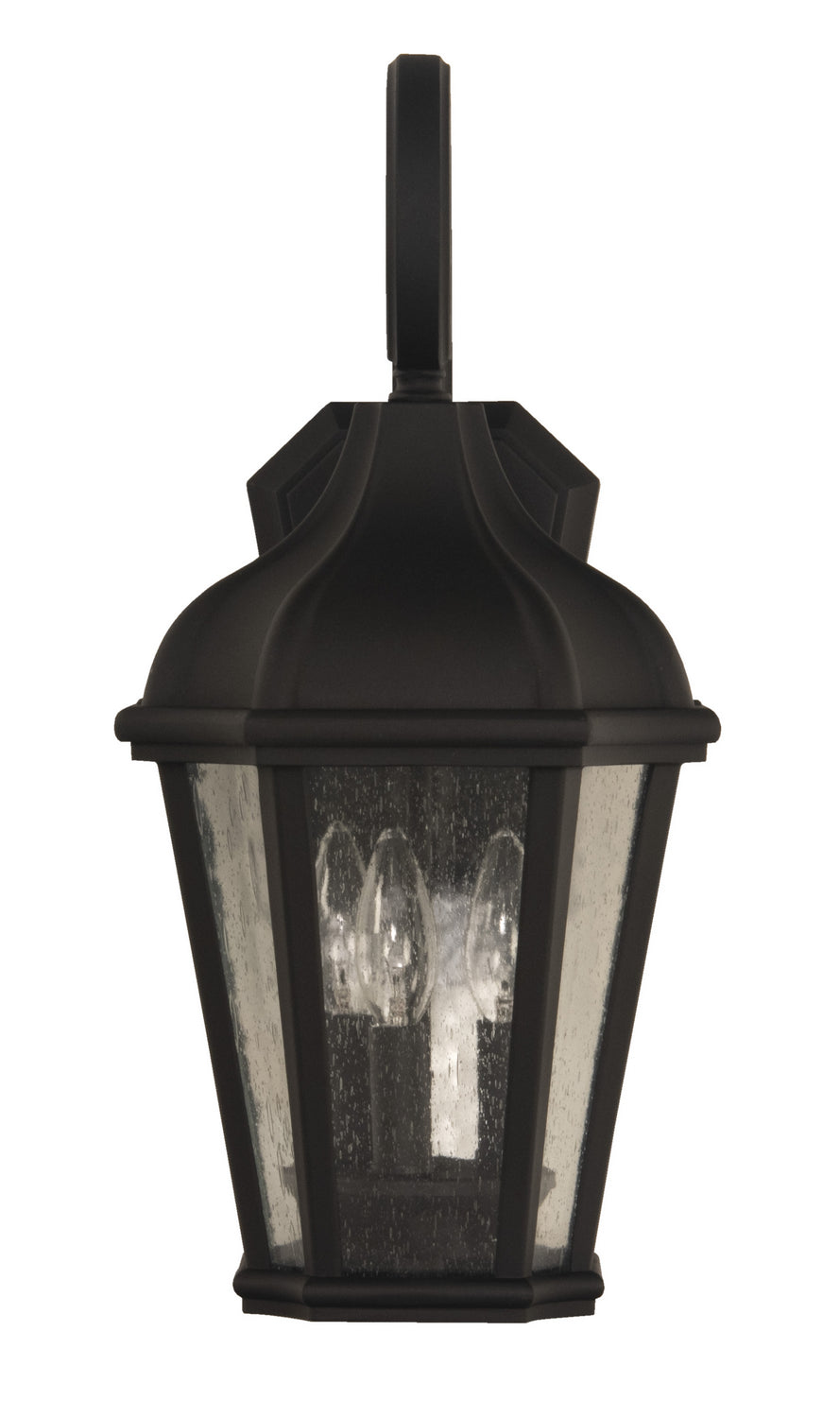 Craftmade Lighting ZA3024-TB  Briarwick Outdoor Textured Black