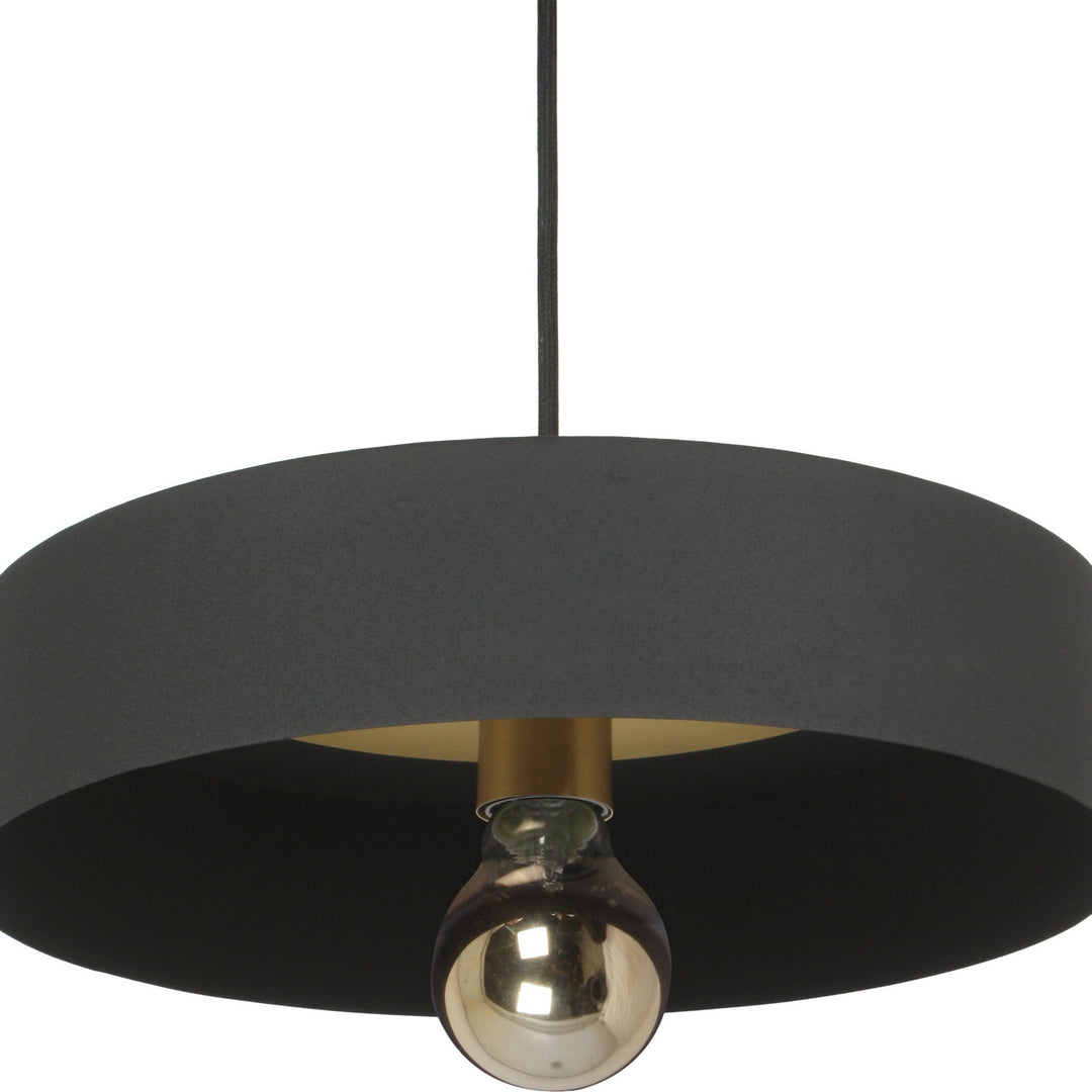 Renwil LPC4282 Pendant Light -