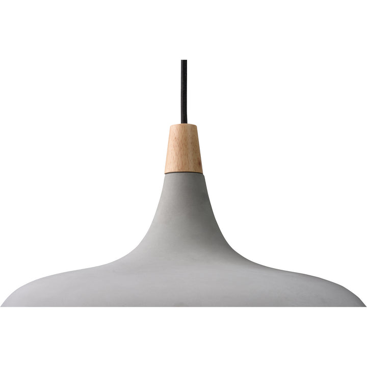 Renwil LPC4331 Pendant Light -