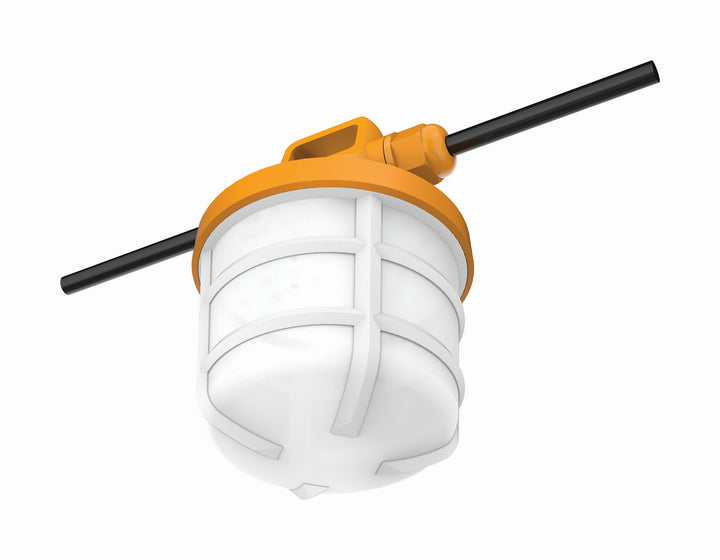 Satco Lighting S28976   Outdoor Frost