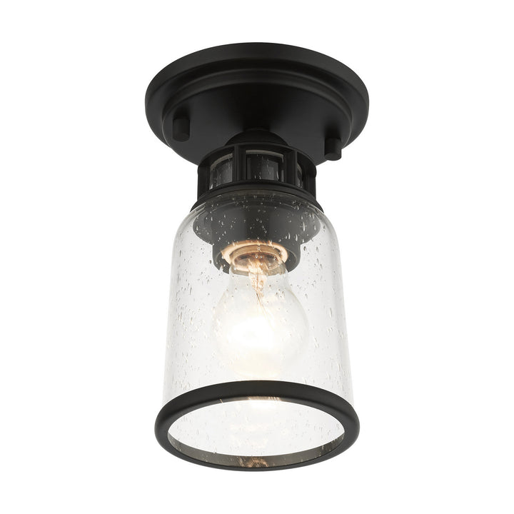 Livex Lawrenceville 45501-04 Ceiling Light - Black