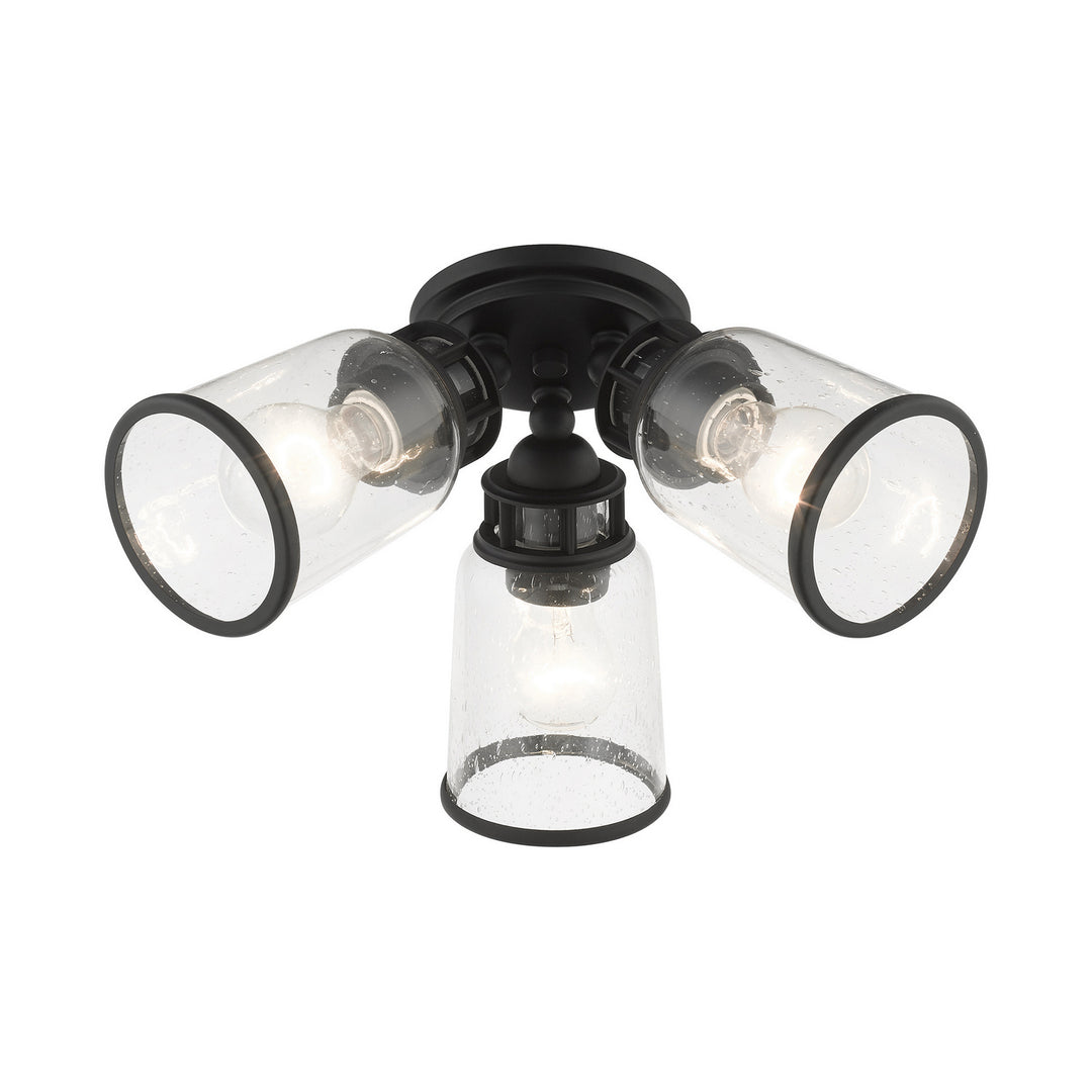 Livex Lawrenceville 45503-04 Ceiling Light - Black