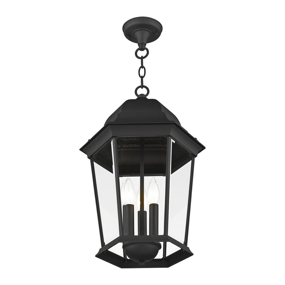 Livex Lighting 7569-14  Hamilton Outdoor Textured Black