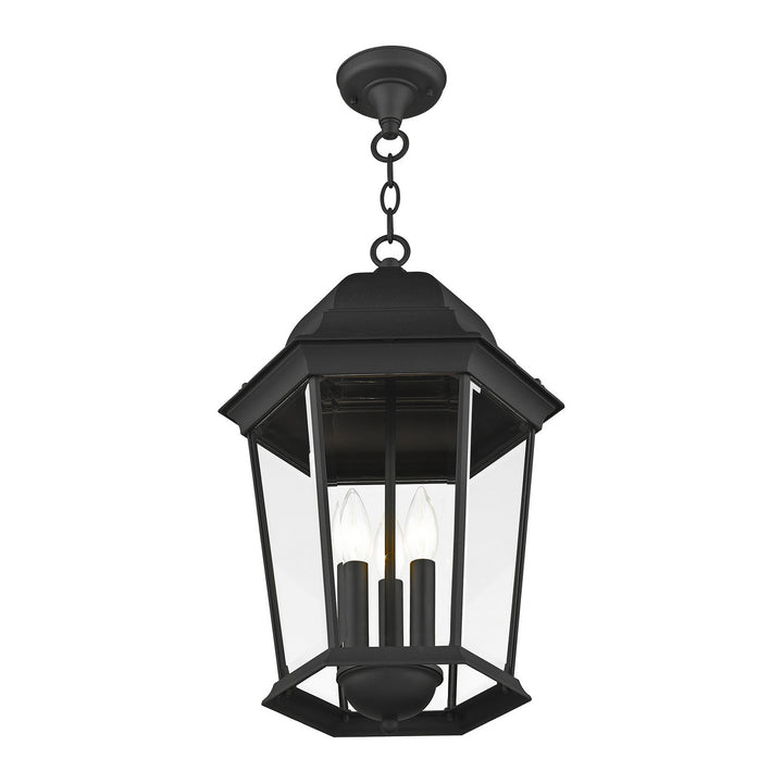Livex Lighting 7569-14  Hamilton Outdoor Textured Black