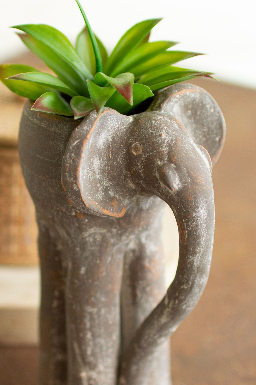 Kalalou Lighting H4030  Planter Home Decor Bronze / Dark