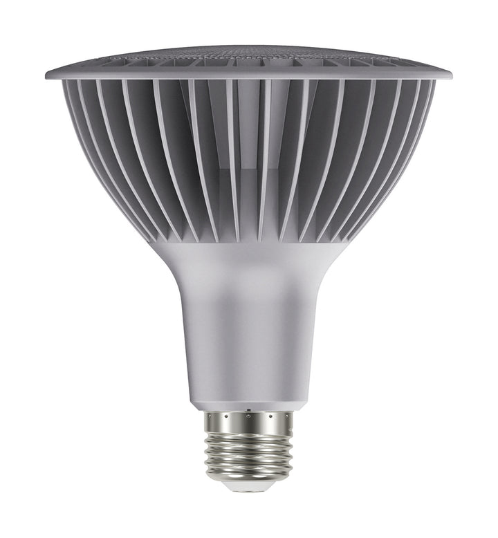 Satco Lighting S22250   Light Bulb Silver