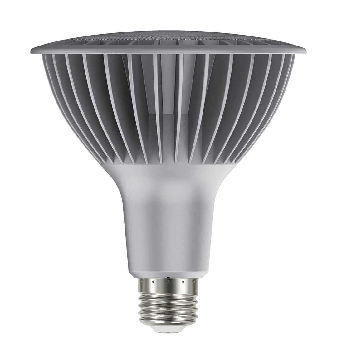 Satco Lighting S22251   Light Bulb Silver