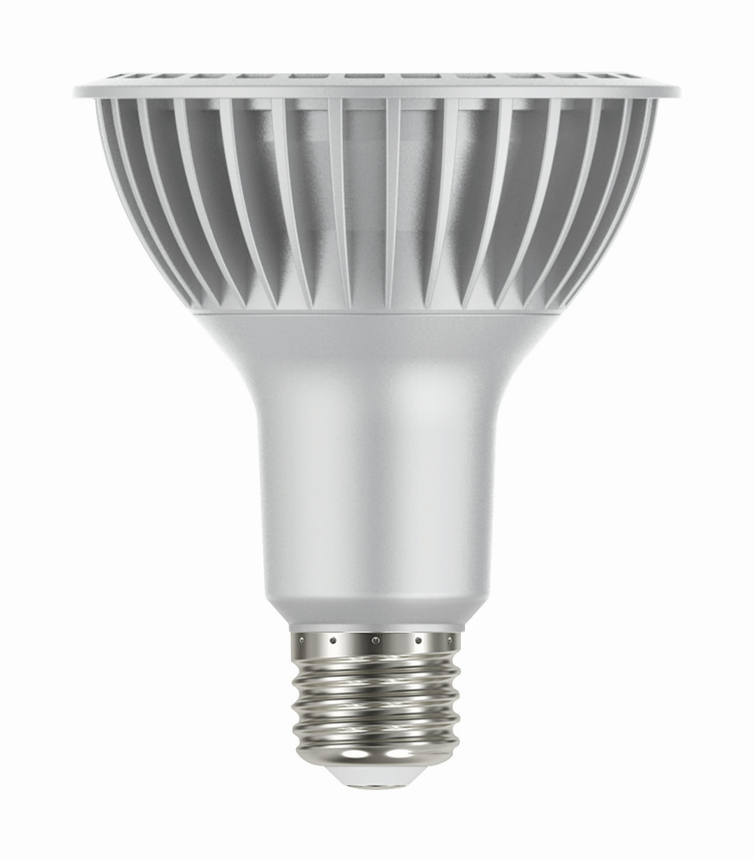 Satco Lighting S22240   Light Bulb Silver