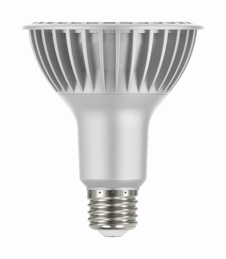 Satco Lighting S22240   Light Bulb Silver