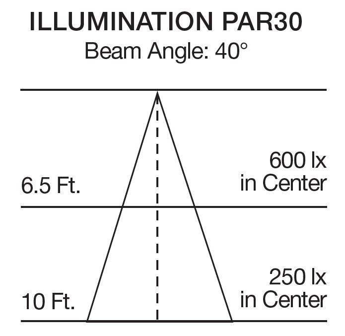 Satco Lighting S22240   Light Bulb Silver