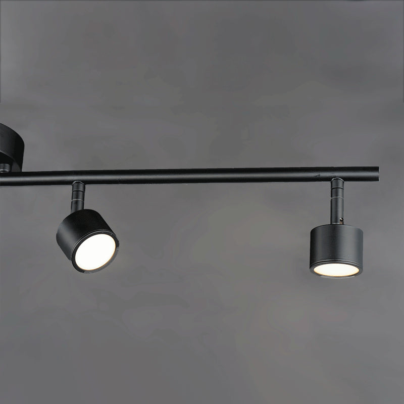 ET2 by Maxim Taylor E52004-BK Ceiling Light - Black