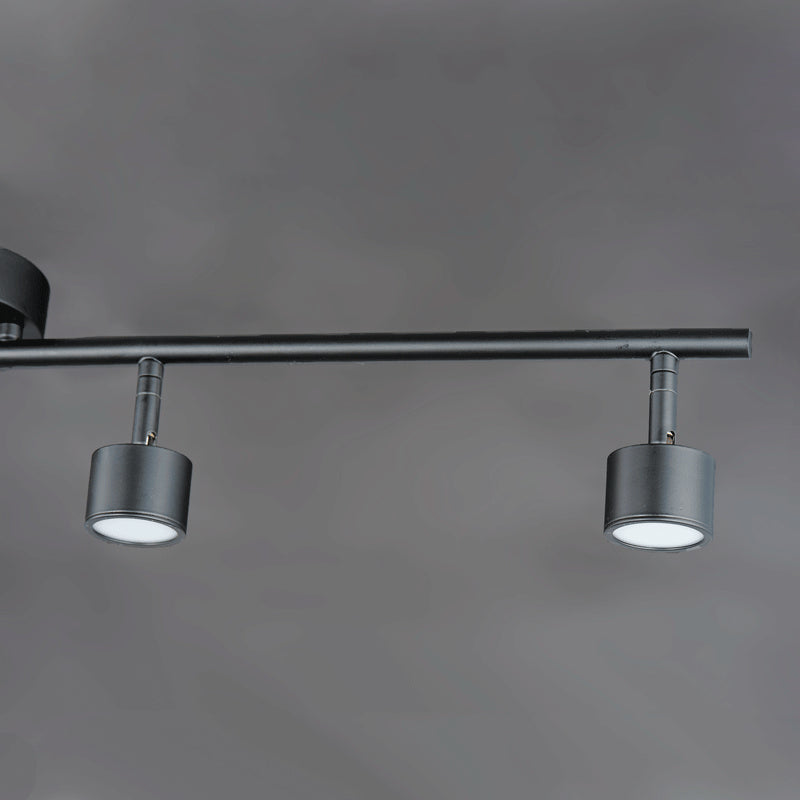 ET2 by Maxim Taylor E52004-BK Ceiling Light - Black