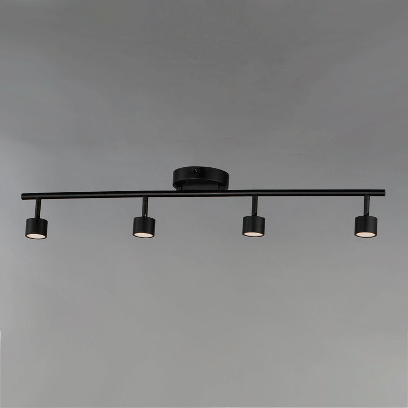 ET2 by Maxim Taylor E52004-BK Ceiling Light - Black