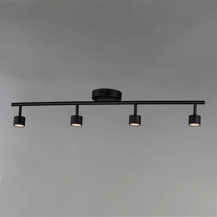ET2 by Maxim Taylor E52004-BK Ceiling Light - Black
