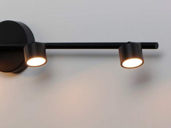 ET2 by Maxim Taylor E52004-BK Ceiling Light - Black