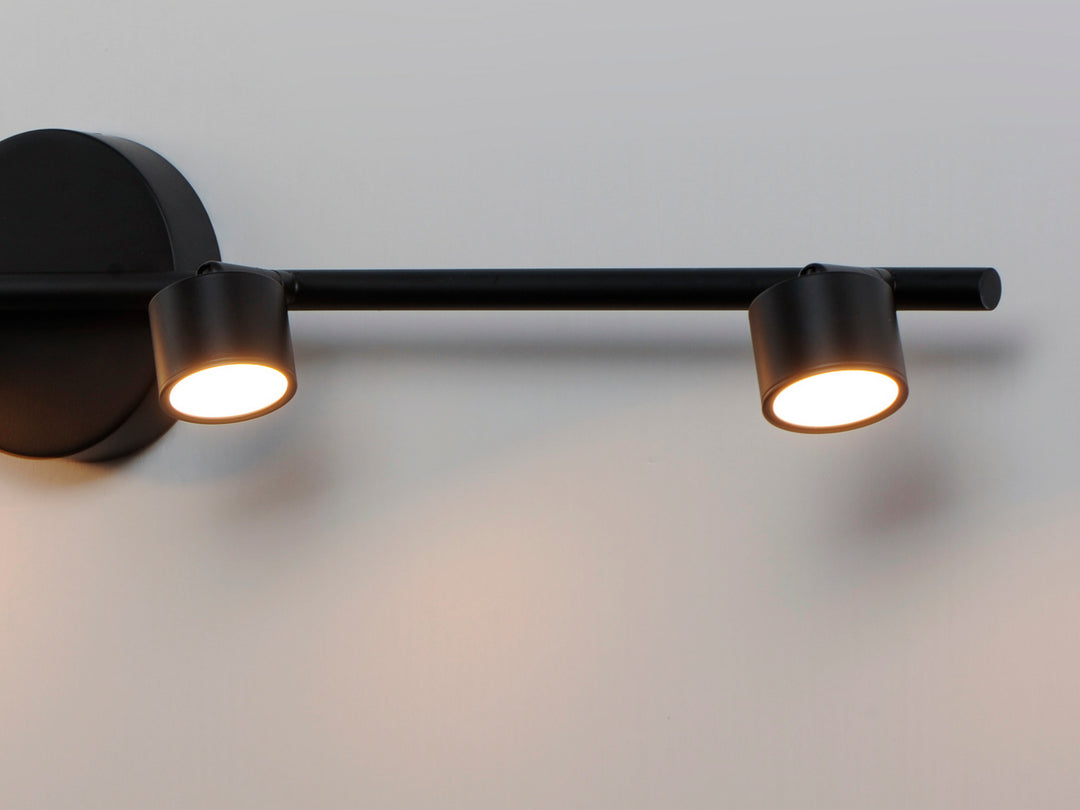 ET2 by Maxim Taylor E52004-BK Ceiling Light - Black