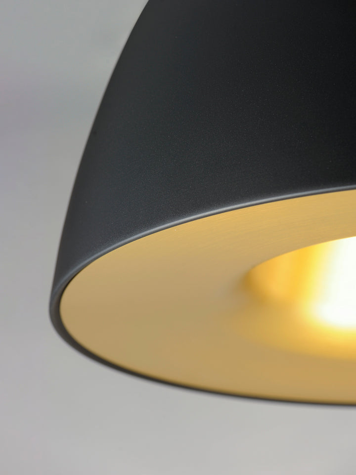 ET2 by Maxim Fungo E24914-BKSBR Pendant Light - Black / Satin Brass