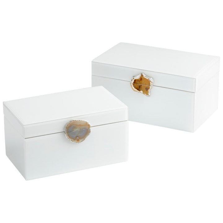 Cyan 10746 Containers & Trays - White
