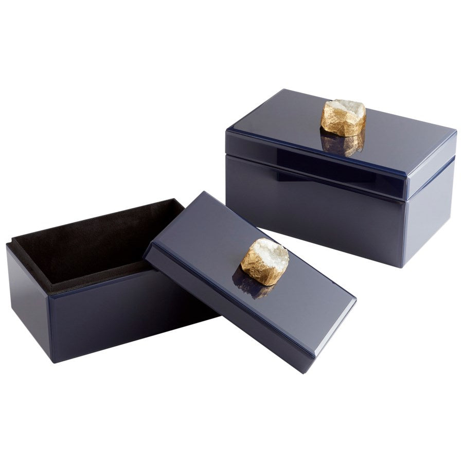 Cyan 10748 Containers & Trays - Black