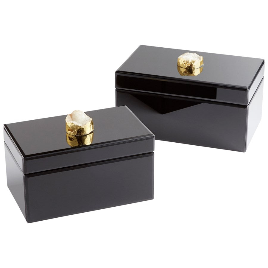 Cyan 10749 Containers & Trays - Black