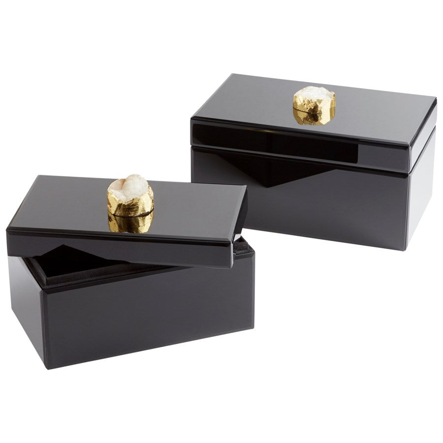 Cyan 10749 Containers & Trays - Black