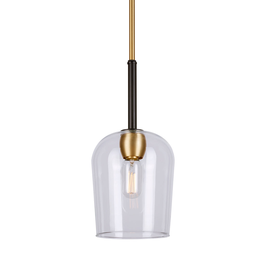 Forte Palmer 2726-01-62 Pendant Light - Black and Soft Gold